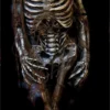 "Ancient Egyptian Mummy" Professional Halloween Prop