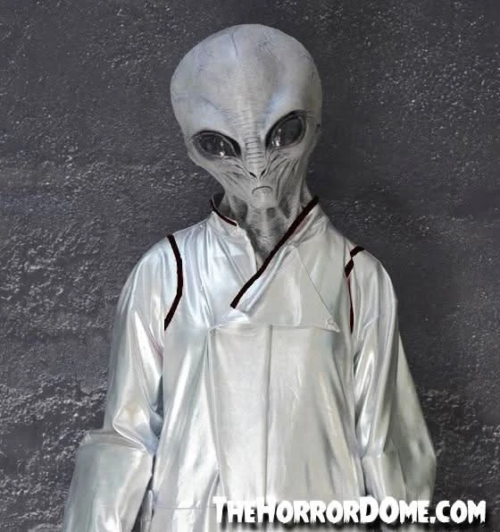 "Area 51 Alien" HD Studios Costume 3 "Area 51 Alien" HD Studios Costume - Image 3