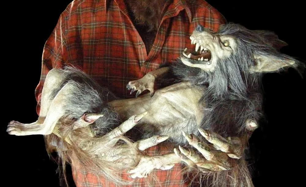 "Baby Werewolf Puppet" HD Studios Halloween Prop 2 "Baby Werewolf Puppet" HD Studios Halloween Prop - Image 2