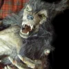 "Baby Werewolf Puppet" HD Studios Halloween Prop
