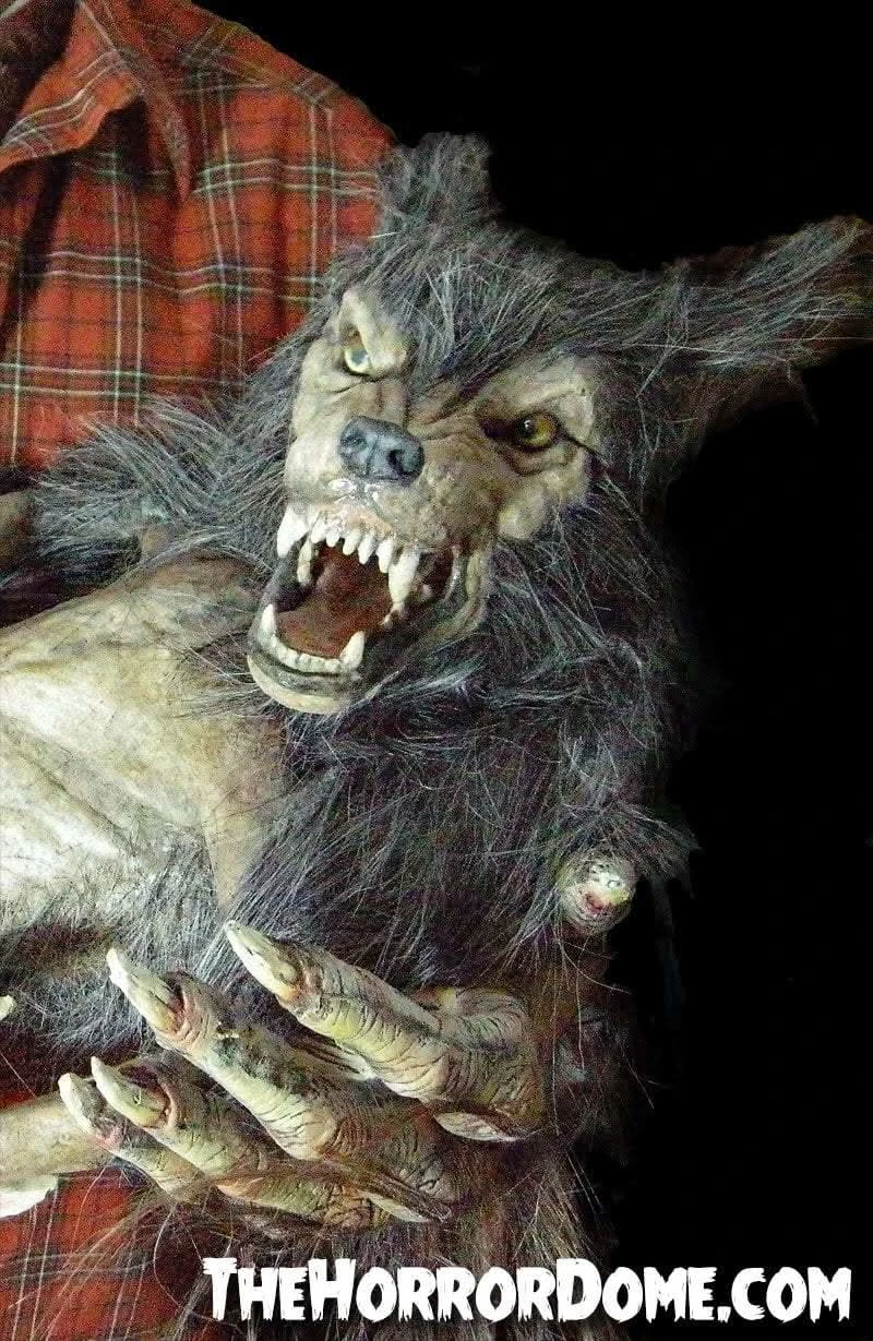 "Baby Werewolf Puppet" HD Studios Halloween Prop 1 "Baby Werewolf Puppet" HD Studios Halloween Prop