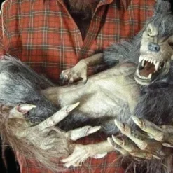 "Baby Werewolf Puppet" HD Studios Halloween Prop 7 "Baby Werewolf Puppet" HD Studios Halloween Prop -Halloween Mask Shop baby werewolf puppet hd studios halloween prop 8671039169
