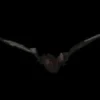 "Bat With Light-up Eyes" Hanging Halloween Prop - 54 Inches
