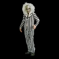 Beetlejuice Deluxe Costume