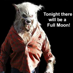 "Big Bad Wolf" HD Studios Pro Costume -Halloween Mask Shop big bad wolf hd studios pro werewolf halloween costume 28736713293872