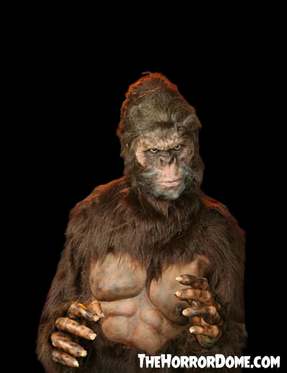 "Bigfoot" HD Studios Pro Costume 2 "Bigfoot" HD Studios Pro Costume - Image 2