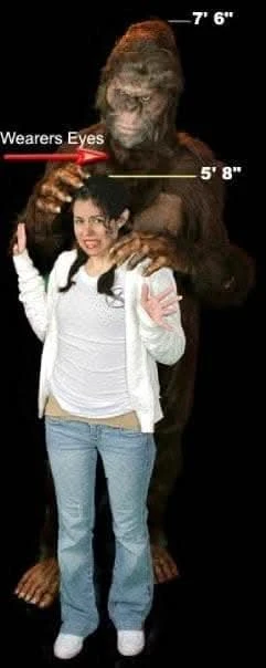 "Bigfoot" HD Studios Pro Costume 5 "Bigfoot" HD Studios Pro Costume - Image 5