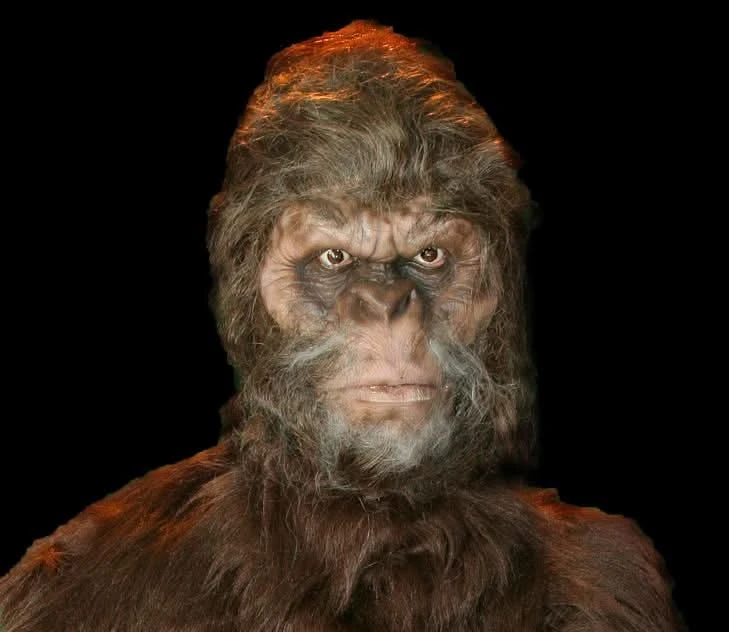 "Bigfoot" HD Studios Pro Costume 3 "Bigfoot" HD Studios Pro Costume - Image 3