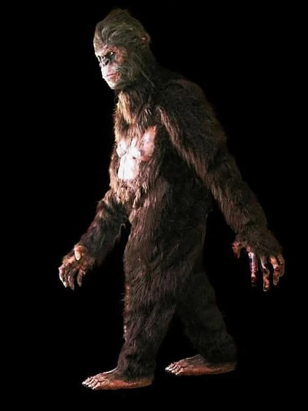 "Bigfoot" HD Studios Pro Costume 4 "Bigfoot" HD Studios Pro Costume - Image 4