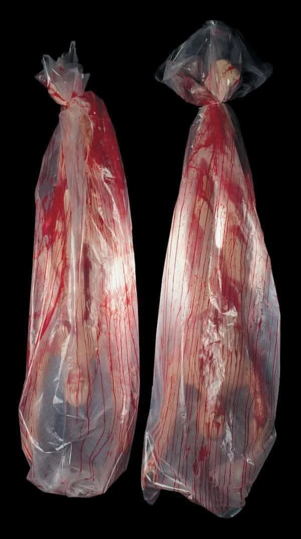 "Body Bag" Static Halloween Prop 1 "Body Bag" Static Halloween Prop