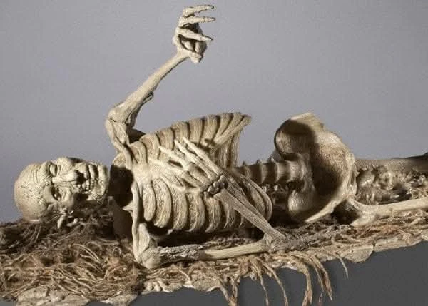 "Corpse Reacher/Trap Door Popper Combo" Skeleton Halloween Animatronic 3 "Corpse Reacher/Trap Door Popper Combo" Skeleton Halloween Animatronic - Image 3