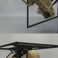 "Crypt Dweller" Skeleton Halloween Animatronic