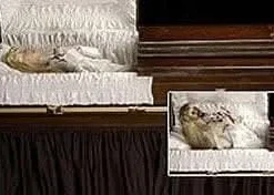 "Dead And Deader" Professional Halloween Animatronic