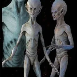 "EBE Extraterrestrial Biological Entity" Professional Alien Prop