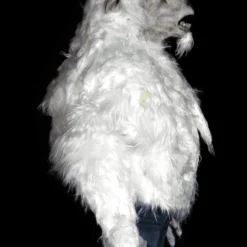 "Evil Goat Man" HD Studios Pro Costume -Halloween Mask Shop evil goat man hd studios pro halloween costume 7320399020080 scaled