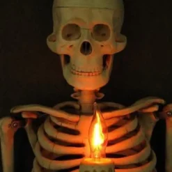 "Framed 3D Skeleton Torso Holding Candle" Hanging Haunted House Decoration -Halloween Mask Shop framed 3d skeleton torso holding candle hanging haunted house decoration 28663808557104