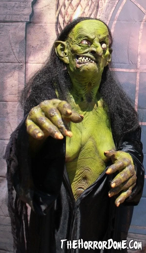 "Helga The Witch" HD Studios Pro Costume 3 "Helga The Witch" HD Studios Pro Costume - Image 3