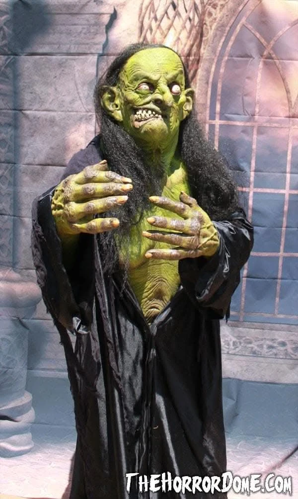 "Helga The Witch" HD Studios Pro Costume 4 "Helga The Witch" HD Studios Pro Costume - Image 4