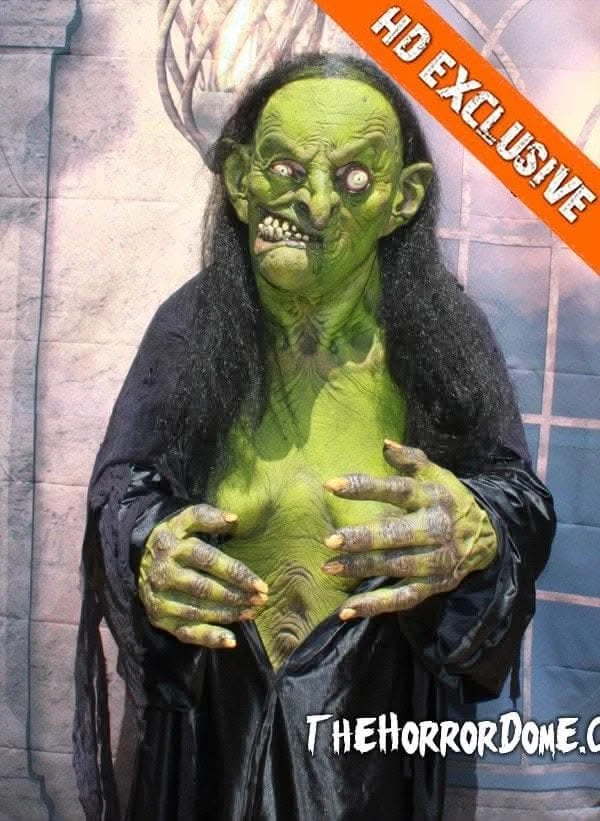 "Helga The Witch" HD Studios Pro Costume 6 "Helga The Witch" HD Studios Pro Costume - Image 6