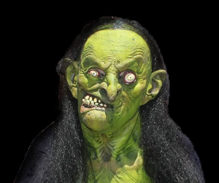 "Helga The Witch" HD Studios Pro Costume 2 "Helga The Witch" HD Studios Pro Costume - Image 2