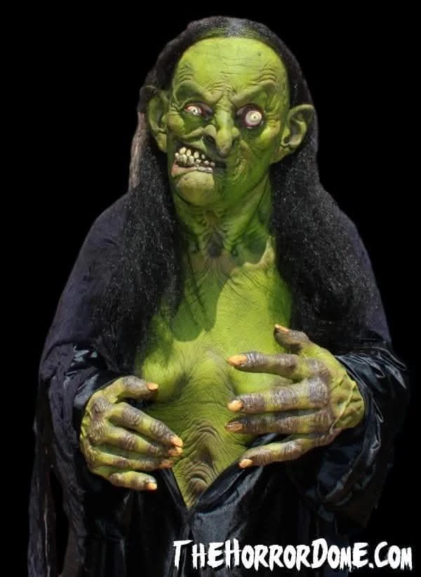 "Helga The Witch" HD Studios Pro Costume 1 "Helga The Witch" HD Studios Pro Costume