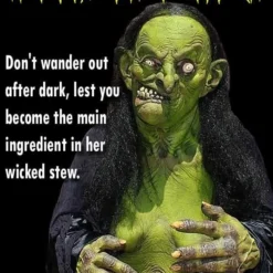 "Helga The Witch" HD Studios Pro Costume 13 "Helga The Witch" HD Studios Pro Costume -Halloween Mask Shop helga the witch hd studios pro halloween costume 14327608213552