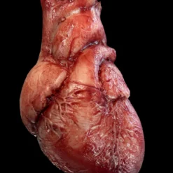 "Human Heart" Silicone Human Body Part Halloween Prop