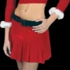 "Ms. Santa - Sexy" Costume