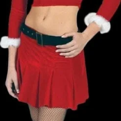 "Ms. Santa - Sexy" Costume