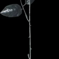 "One Dozen Black Roses With Eyes" Halloween Accessory Prop