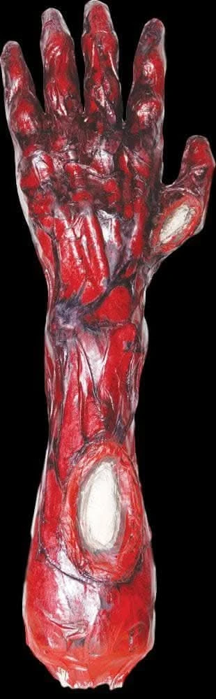 "Peeled Flesh - Left Arm" Human Body Part Halloween Prop 1 "Peeled Flesh - Left Arm" Human Body Part Halloween Prop