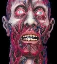 "Peeled Flesh" Severed Head Halloween Prop