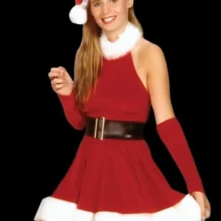 "Santa's Inspiration Dress" Costume