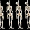 "Skeleton Halloween Props" - 6x Package Deal