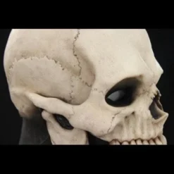 "Skull Hood" Silicone Mask -Halloween Mask Shop skull hood silicone halloween mask 20360423169