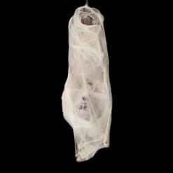 "Spider Bites" Static Halloween Prop