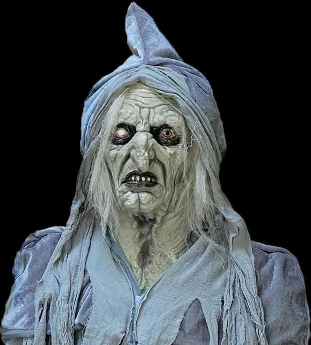 "Swamp Hag" HD Studios Costume 5 "Swamp Hag" HD Studios Costume - Image 5