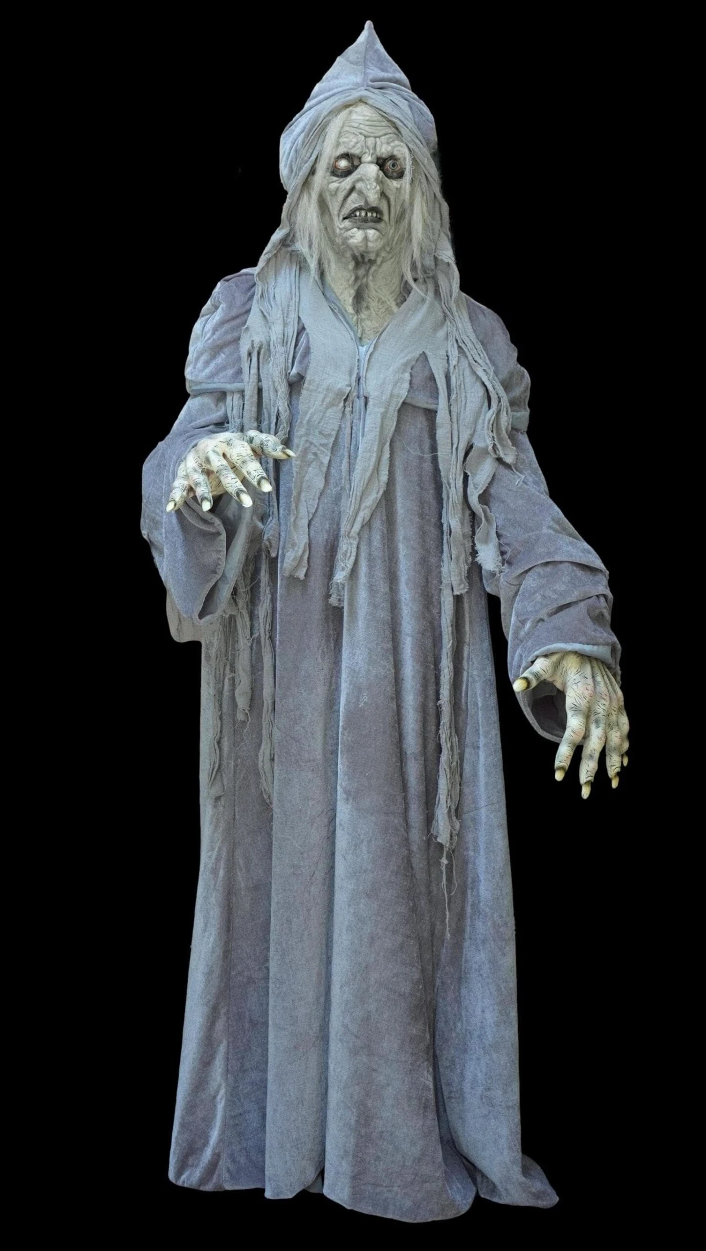 "Swamp Hag" HD Studios Costume 1 "Swamp Hag" HD Studios Costume