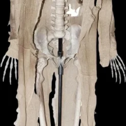 "Talking Skeleton" Halloween Prop - Open Box