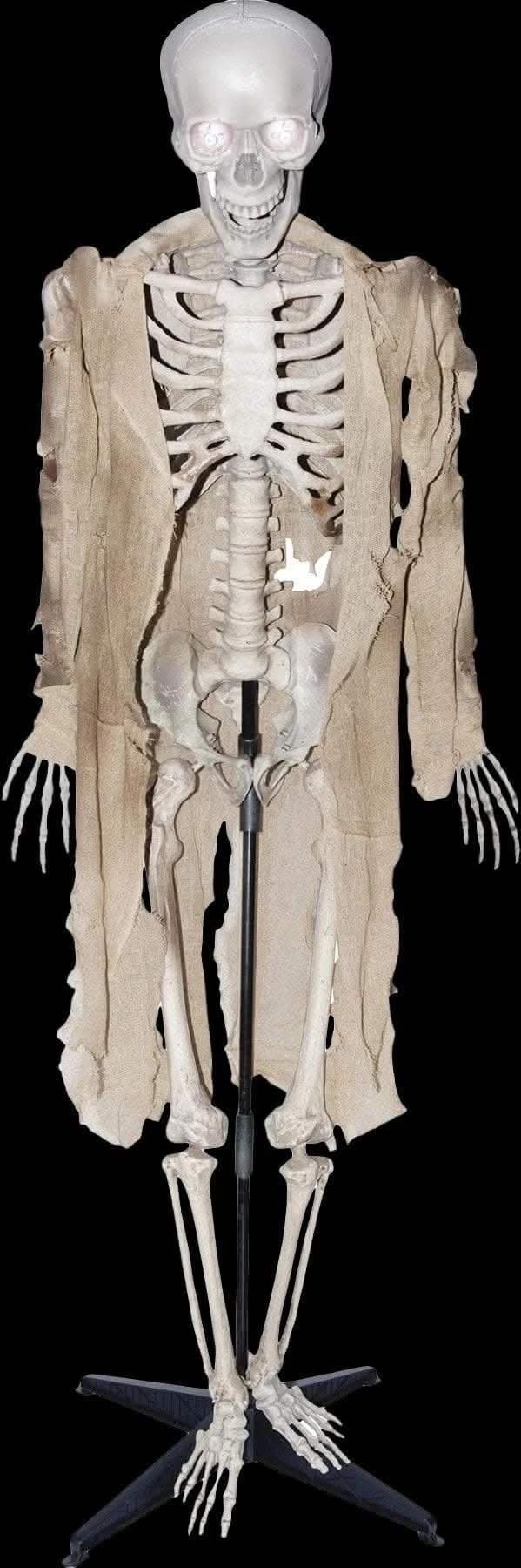 "Talking Skeleton" Halloween Prop - Open Box 1 "Talking Skeleton" Halloween Prop - Open Box