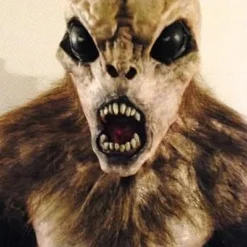 "The Hobgoblin" HD Studios Pro Costume -Halloween Mask Shop the hobgoblin hd studios pro halloween costume 8721735169