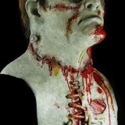 "The Monster" HD Studios Pro Mask -Halloween Mask Shop the monster hd studios pro halloween mask 28754341199920