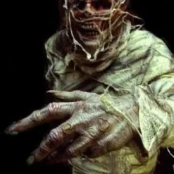 "The Mummy" Professional Costume