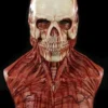 "Yorick Bloody Skull" Silicone Mask