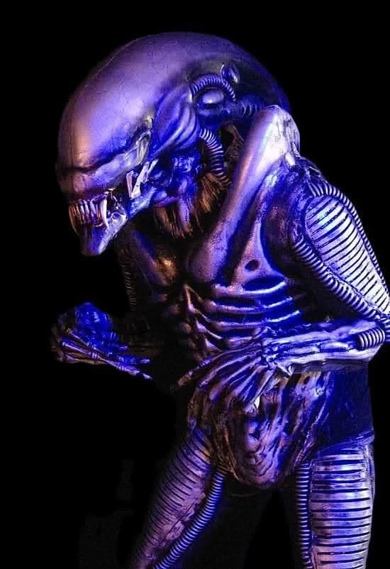 "Zenomorph" Professional Costume 1 "Zenomorph" Professional Costume