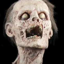"Zombie Head" HD Studios Halloween Prop