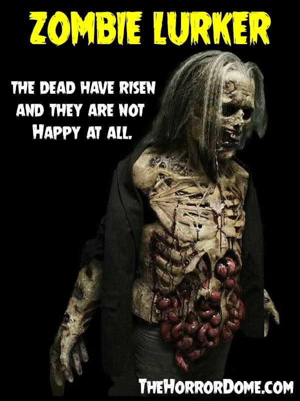 "Zombies" HD Studios Pro Costumes - 3x Package Deal 3 "Zombies" HD Studios Pro Costumes - 3x Package Deal - Image 3